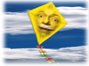 kite